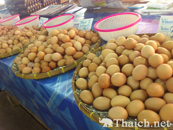 ノッポさんの写真