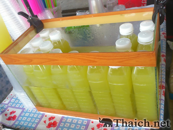 ノッポさんの写真