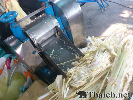 ノッポさんの写真