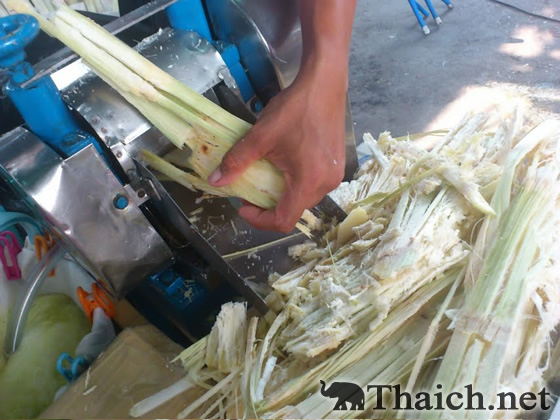 ノッポさんの写真