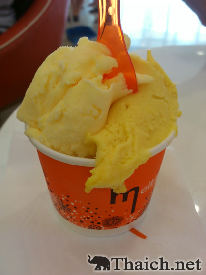 ノッポさんの写真