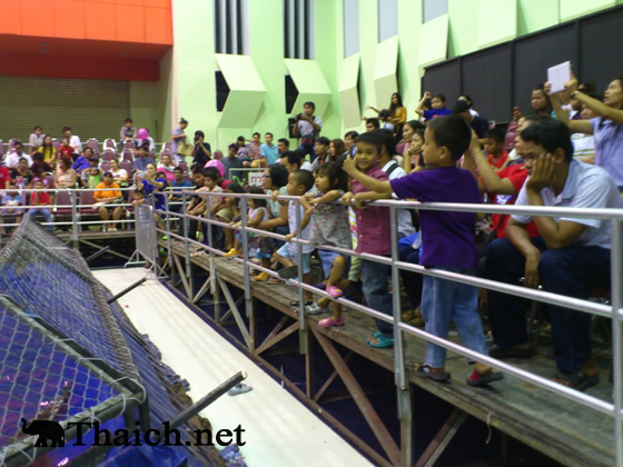 ノッポさんの写真