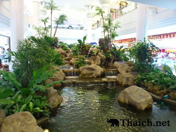 ノッポさんの写真