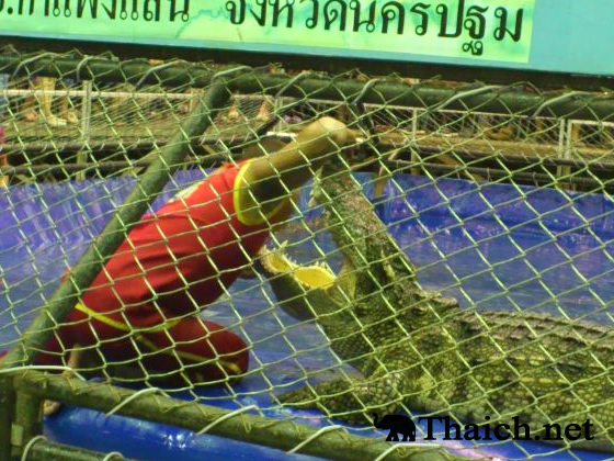 ノッポさんの写真