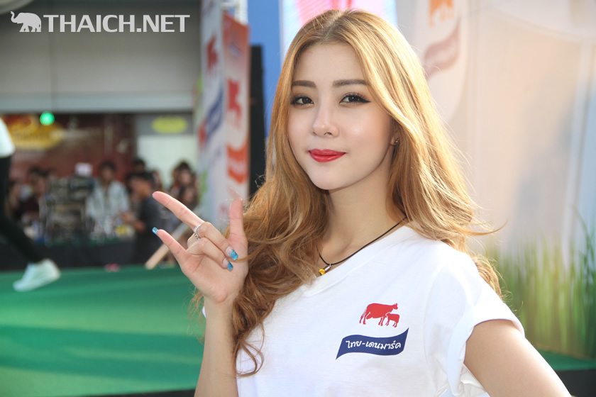 ネコジャンプ(NEKO JUMP,เนโกะ จัมพ์)