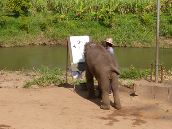 象芸に「象格」を見た！ チェンマイでエレファントキャンプツアーに申し込んでみた！その5