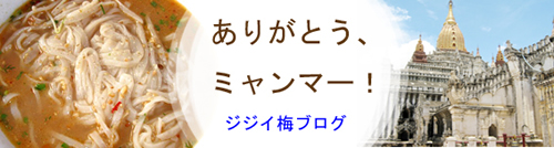 ありがとうミャンマー
