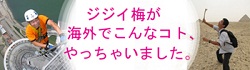 ジジイ梅が海外でこんなコト、やっちゃいました。古い話も多々ございますが、宜しいでしょうか？