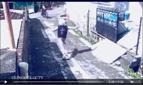 大爆笑動画！バッグひったくり犯人の意外な結末