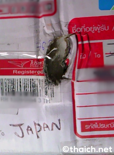 タイの郵便局が多重梱包を推奨！「これなら壊れません」