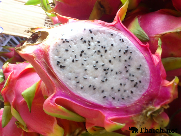 dragonfruit2