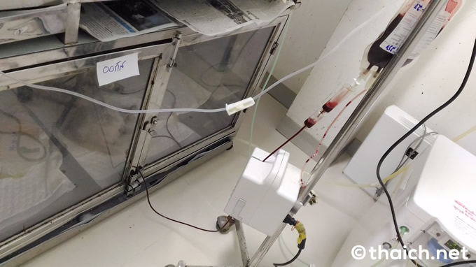 RAJPATTANA PET HOSPOTAL