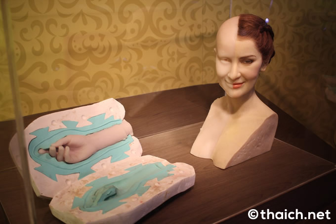 自分の形を素材にしたワックス・ハンド(３５０バーツ)