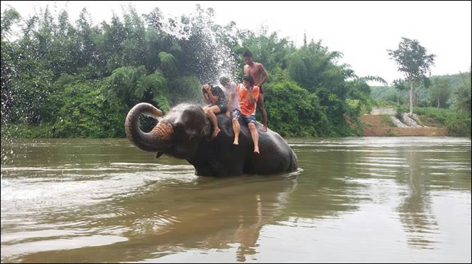 「スリンの象祭り」には行けないけど、お手軽に象さんと触れ合いたいっ! 「スリンの象祭り」には行けないけど、お手軽に象さんと触れ合いたいっ!