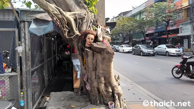 バンコクの怪奇～生首の祀られた木