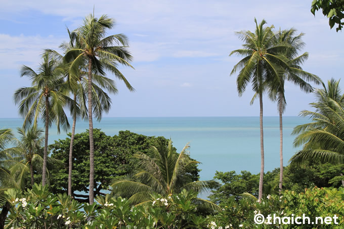 タイは8月から外国人観光客を受け入れへ、当初はチェンマイ、サムイ島、クラビ、プーケット、パタヤの見込み