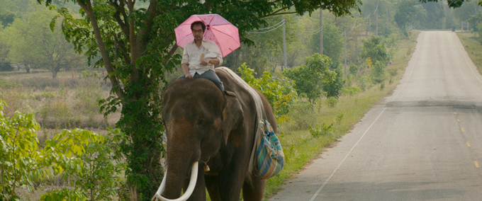 タイ映画「ポップ・アイ」が日本で劇場公開！ゾウと中年男とのタイ縦断500キロの旅