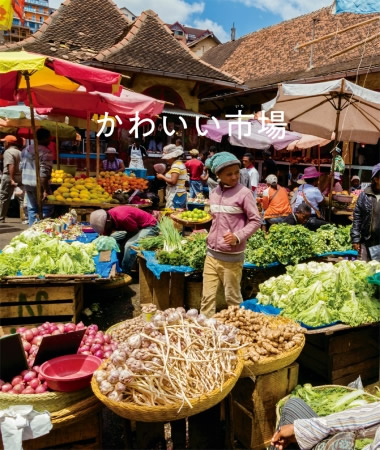 バンコクのナイトマーケットなどでかわいいモノを探す旅、写真集『かわいい市場』発売 バンコクのナイトマーケットなどでかわいいモノを探す旅、写真集『かわいい市場』発売