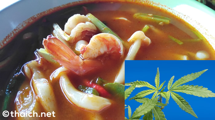 「トムヤム大麻を食べてよく眠れた」サムイ島でイギリス人男を逮捕