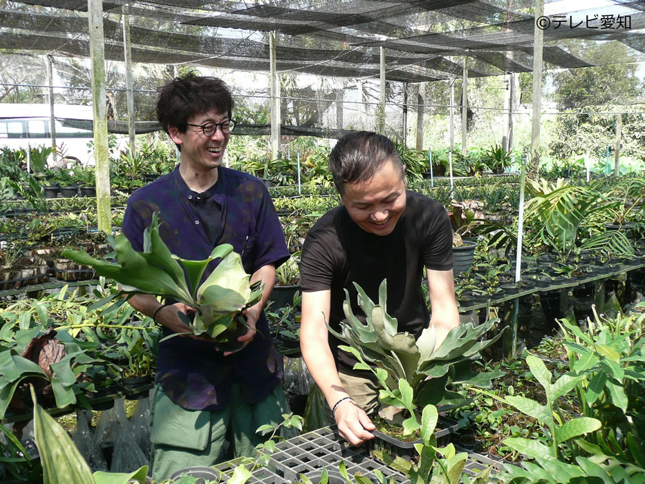 俳優・滝藤賢一、タイで 激ヤバ＆高額レア＆珍植物を発見！