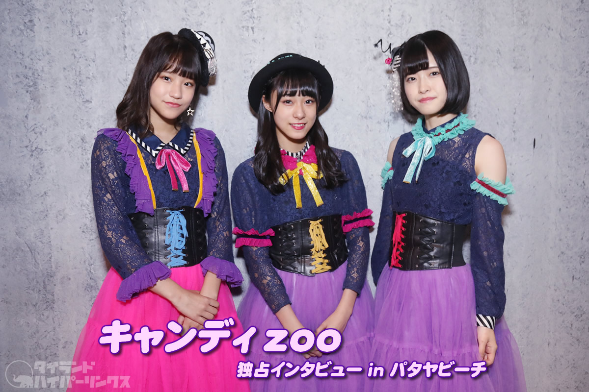 キャンディzoo 独占インタビュー～はじめての海外遠征はタイ・パタヤ！