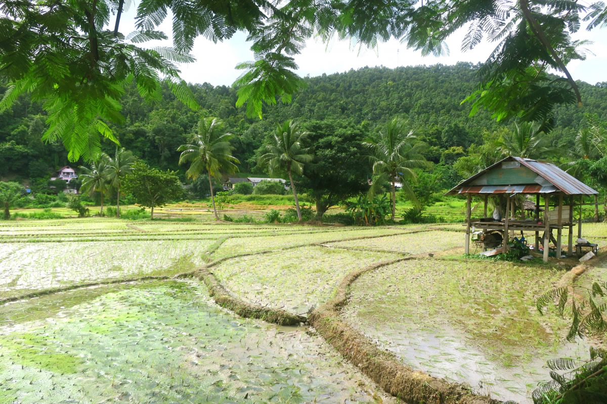 タイを訪れた「東野・岡村の旅猿」放送回は？