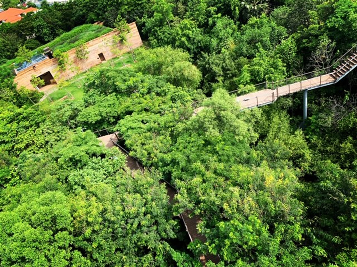 「PTT Metro Forest」 で大人の朝活