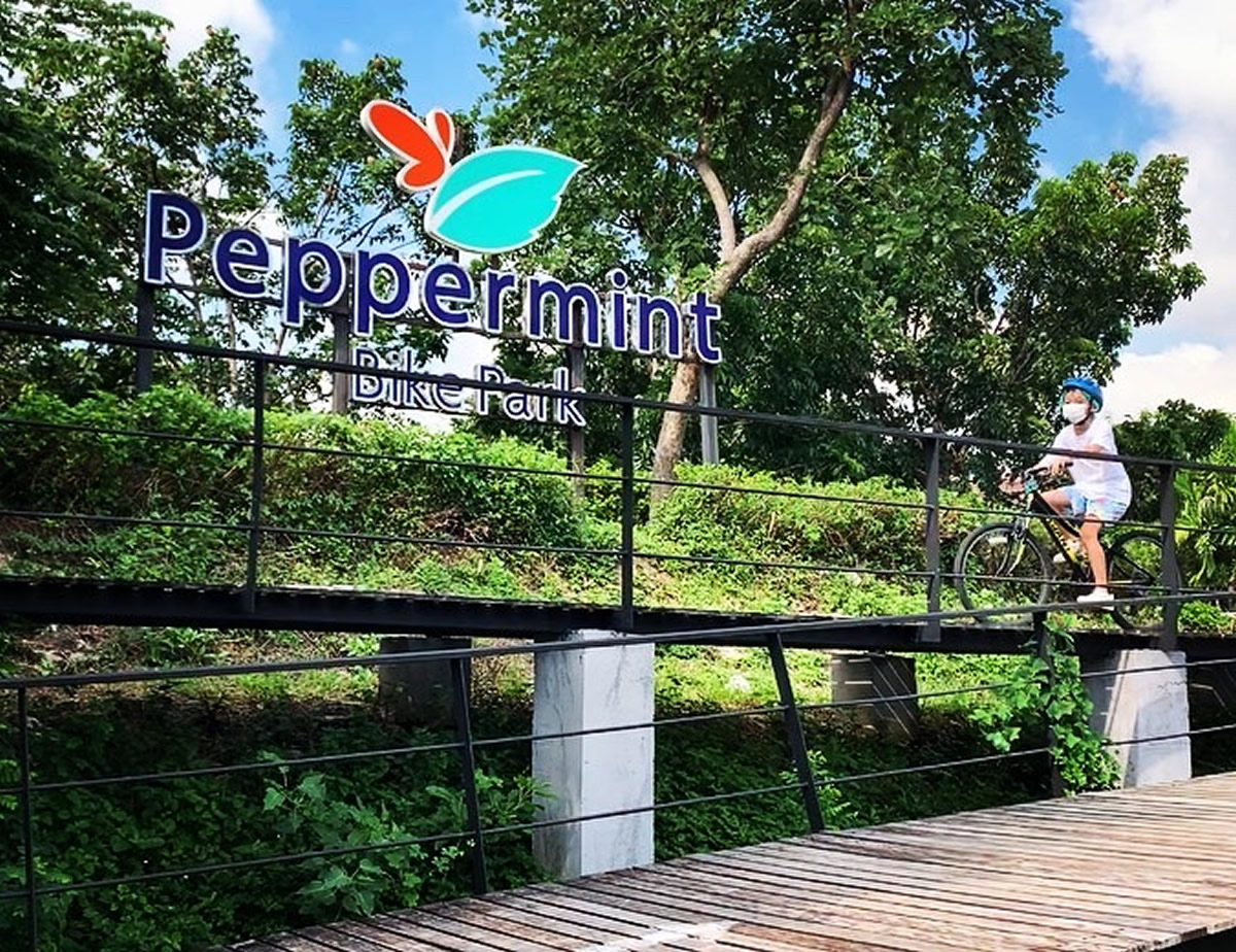 ペパーミントバイクパーク：バンコクで本格マウンテンバイクに挑戦 