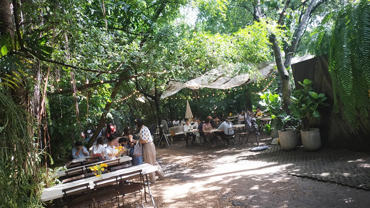 Little Tree Garden Cafe