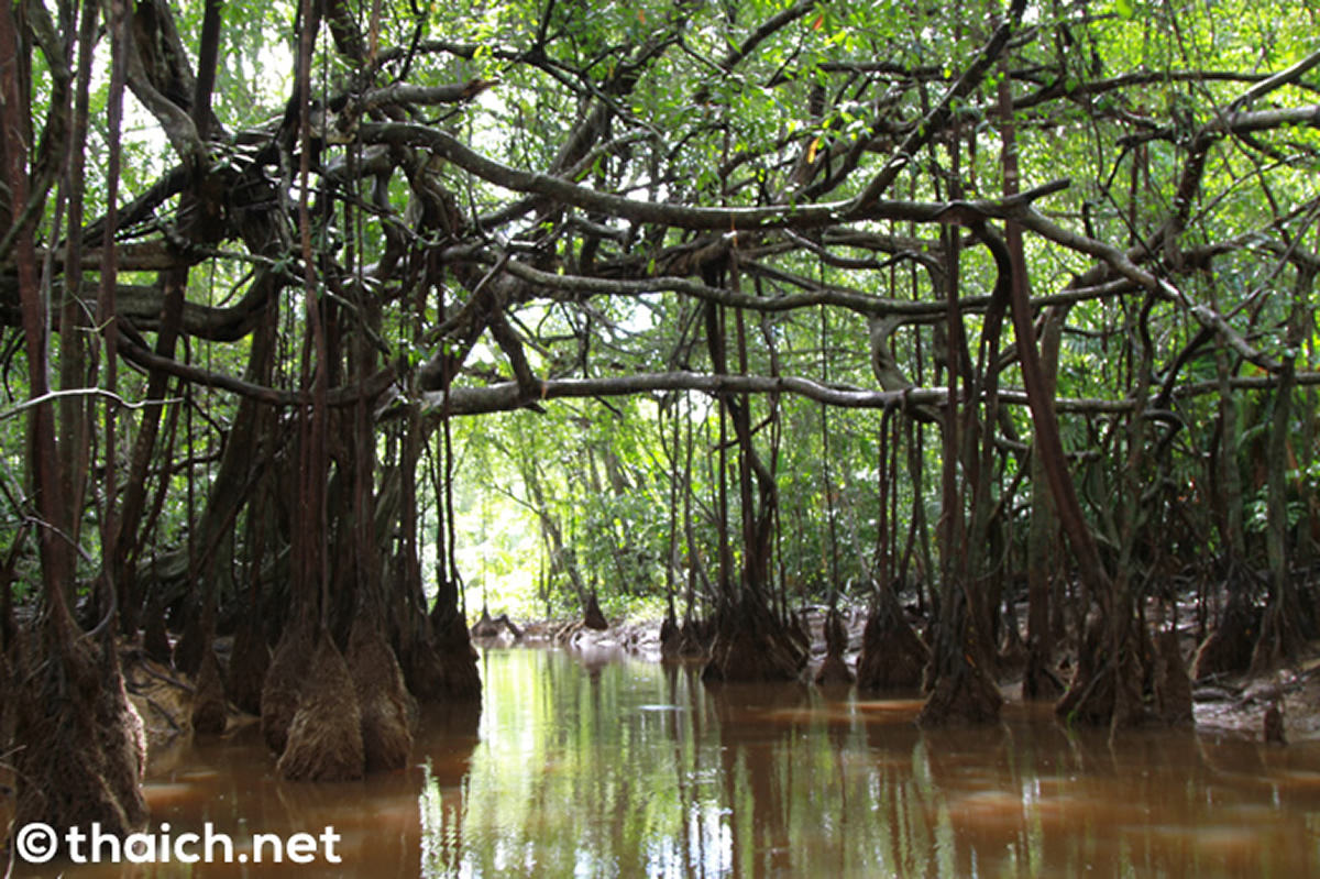 「アンダマン・サンドボックス」案を提出、10月にもバンコクやパタヤやチェンマイ等を開放