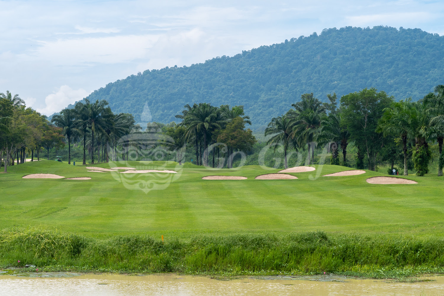 遠いけどやめられない グリーンウッド ゴルフクラブ タイランドハイパーリンクス Thai Hyper 遠いけどやめられない グリーンウッド ゴルフクラブ タイランドハイパーリンクス Thai Hyper