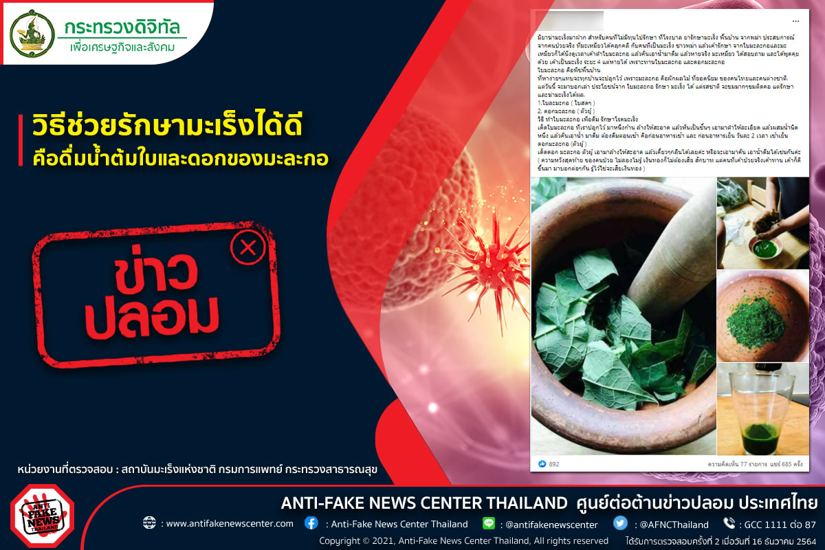 タイのフェイクニュース「パパイヤの葉と花を煎じて飲むと癌が治る」