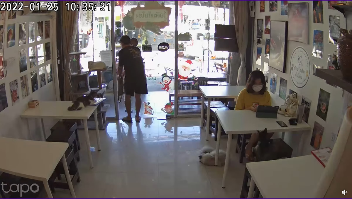 猫カフェの客、ネコを蹴り、ネコを外に追い出す（動画あり）