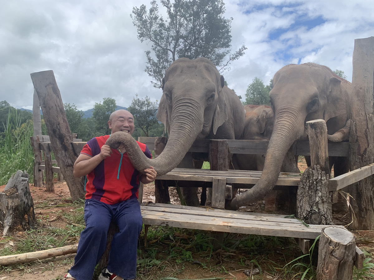 タイ住みます芸人 あっぱれコイズミ「タイの象たちを守りたい！」象の保護施設を応援するクラウドファンディング開始！