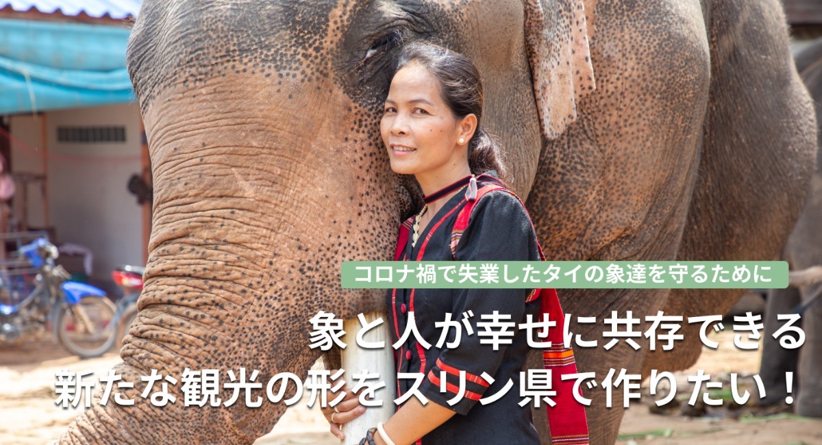 コロナ禍で失業したタイの象達を守るために 象と人が幸せに共存できる新たな観光の形をスリン県で作りたい！