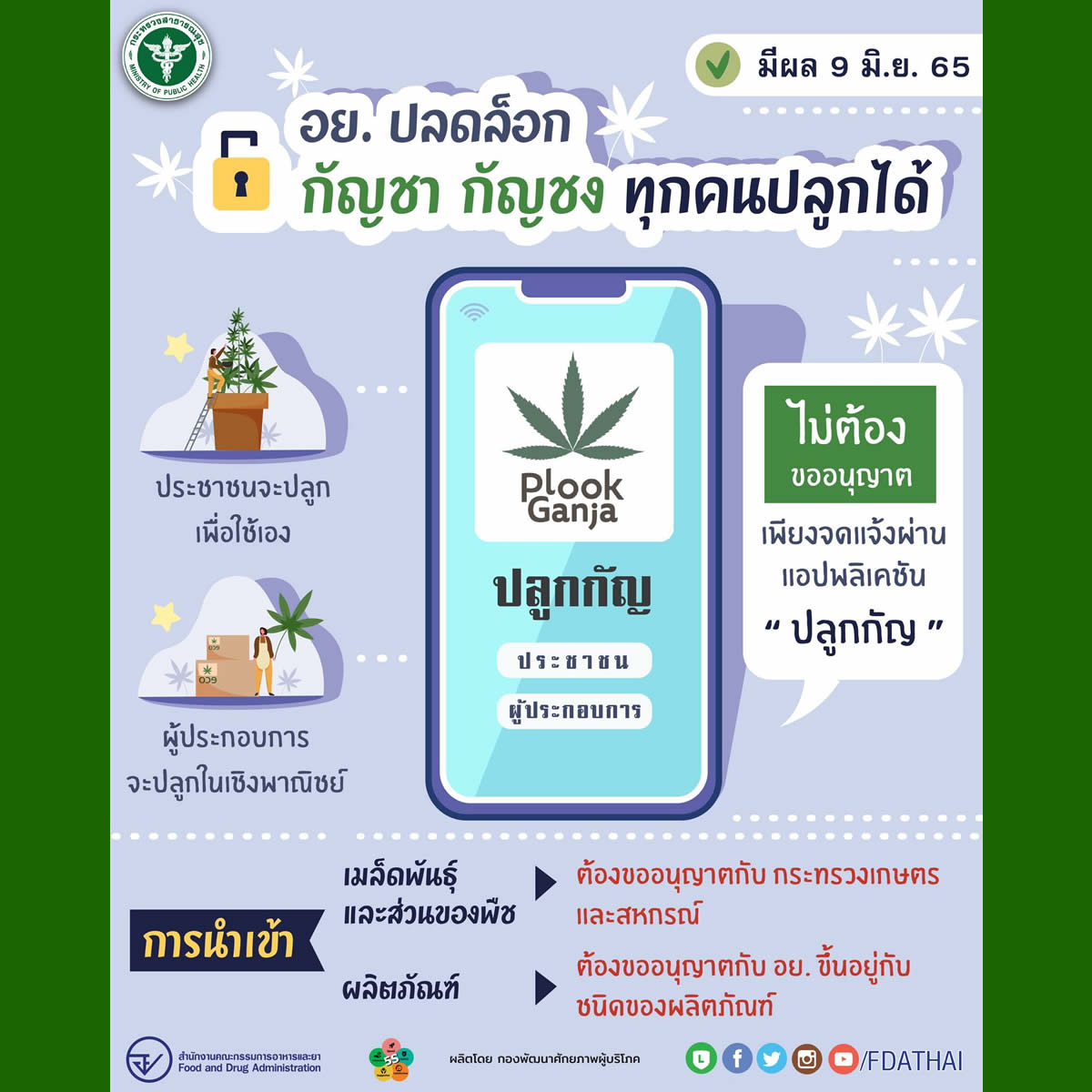 タイ食品医薬品局（FDA）「6月9日から大麻の栽培は許可不要、アプリで報告」