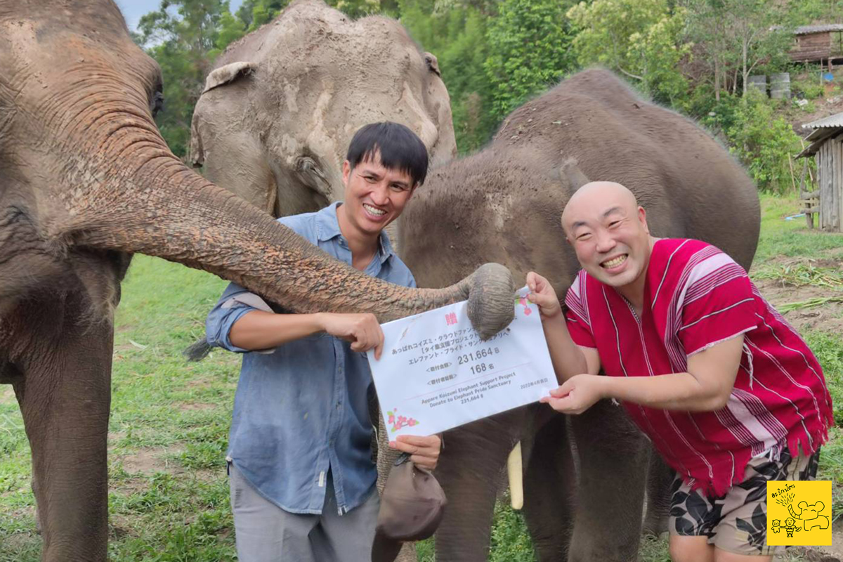 タイ住みます芸人「あっぱれコイズミ」タイの象と象保護施設を応援するクラファン、象たちも一緒に寄付金贈呈式を実施