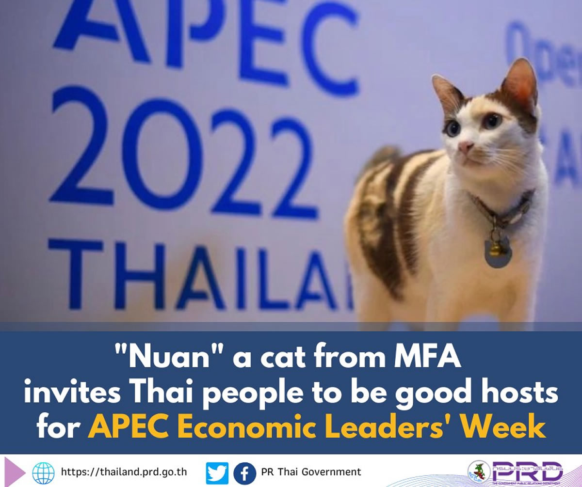 「2022年タイAPEC」SNSでのプレゼンターに猫のヌアン