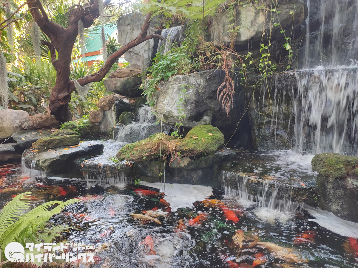 シラチャの絶景寺院「カオプラクルー」の庭と池