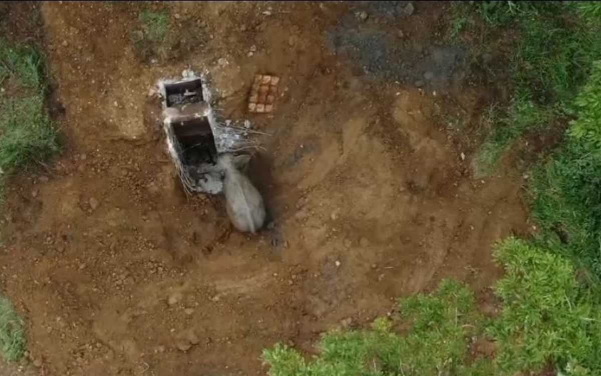 井戸に落ちた子象を助ける母象の動画＠チャトリウムゴルフ場