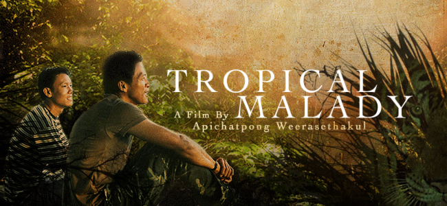 Tropical-Malady