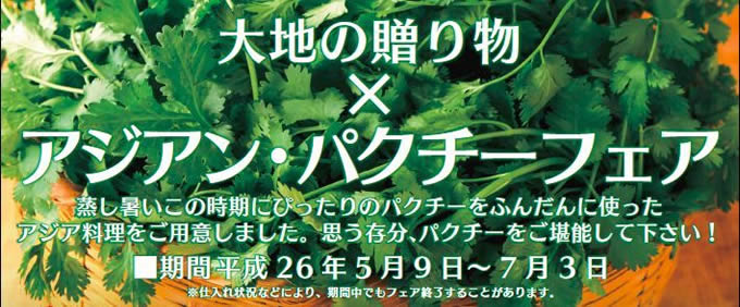 東京・上野「大地の贈り物」で「アジアン・パクチーフェア」開催 東京・上野「大地の贈り物」で「アジアン・パクチーフェア」開催