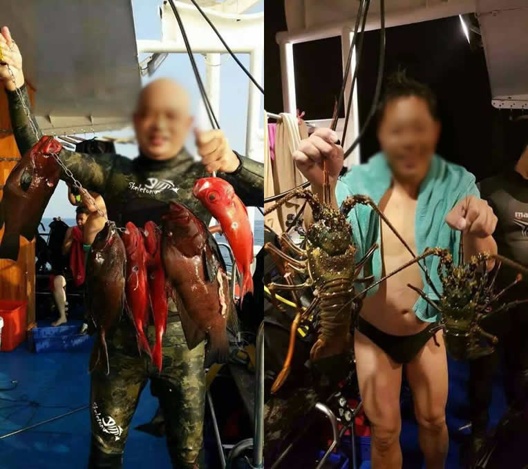 中国人観光客らがタイ・シミラン諸島で大漁、タイ人は激怒